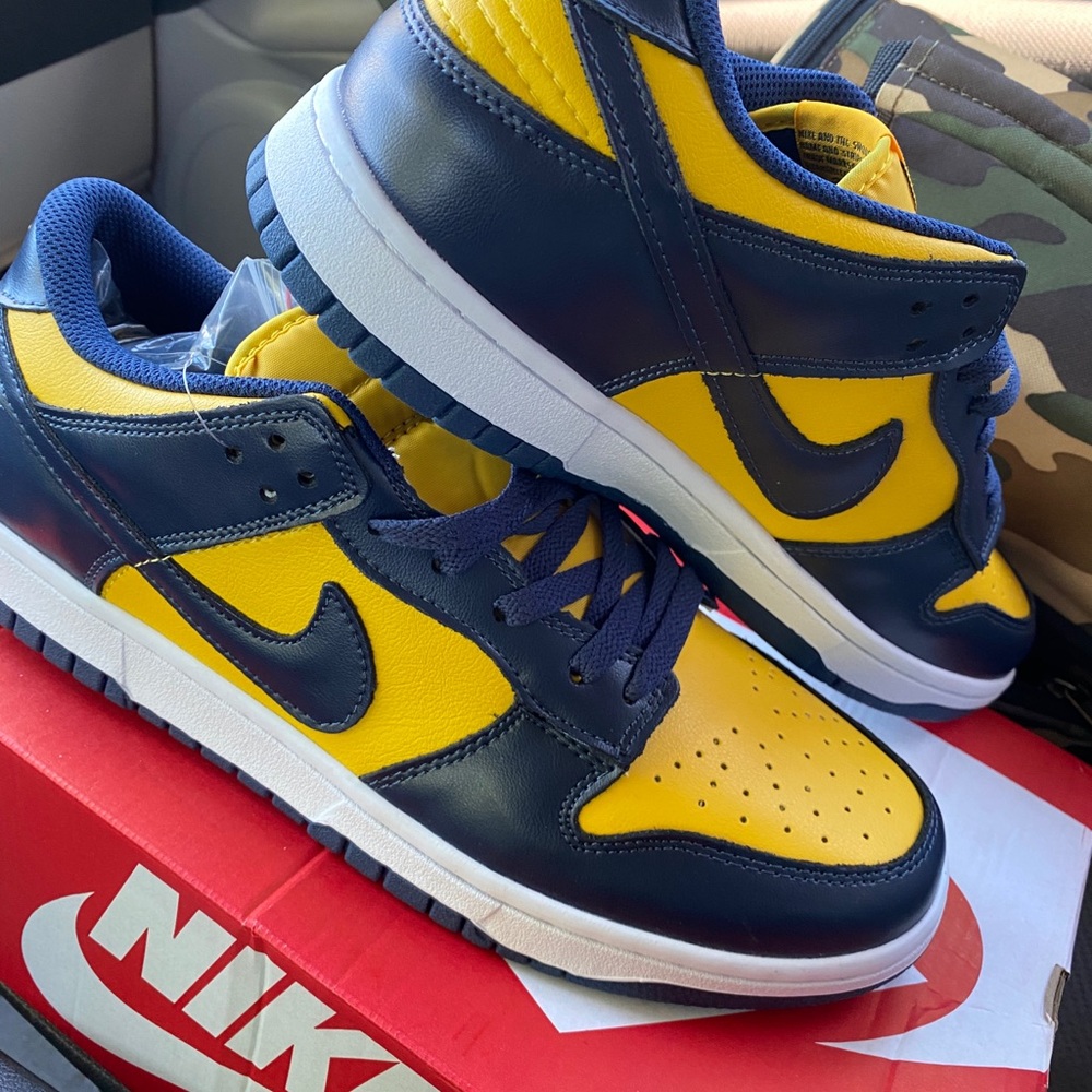 Nike dunk low Michigan